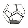Pentagonal Sphere Glass Terrarium Large