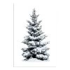 Snowy Tree LED Canvas 40x30cm