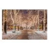 Snowy Path LED Canvas 40x30cm