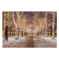 Snowy Path LED Canvas 40x30cm