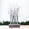 Snowy Lit White 5 Branch On Wooden Base 70cm