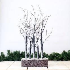 Snowy Lit White 5 Branch On Wooden Base 70cm