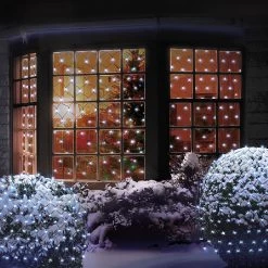 Premier Cool White Light Net (180 LEDs)