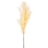 Lumineo LED Pampas Grass Cream