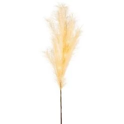 Lumineo LED Pampas Grass Cream
