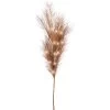 Lumineo LED Pampas Grass Cinnamon