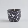 St. Eval Celestial Orange & Cinnamon Black Candle Pot