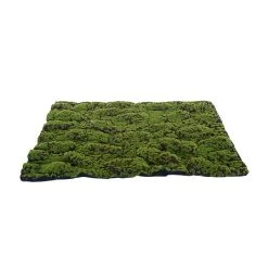 My Village Medium Green & Brown Artificial Moss Mat 70cm X 50cm