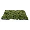 My Village Green & Brown Coarse Artificial Moss Mat 70cm X 50cm