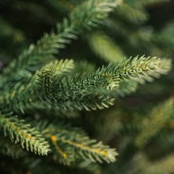 7ft Arcadia Pine Artificial Christmas Tree 5 7ft Arcadia Pine Artificial Christmas Tree -Tinsel Nest Sales Store 1244760 3