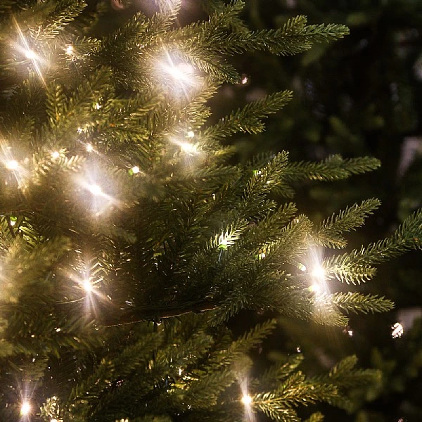 6ft Pre-Lit Arcadia Pine Artificial Christmas Tree 2 6ft Pre-Lit Arcadia Pine Artificial Christmas Tree - Image 2