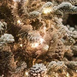 6ft Pre-Lit Balmoral Flocked Spruce Artificial Christmas Tree 6 6ft Pre-Lit Balmoral Flocked Spruce Artificial Christmas Tree -Tinsel Nest Sales Store 1244765 2