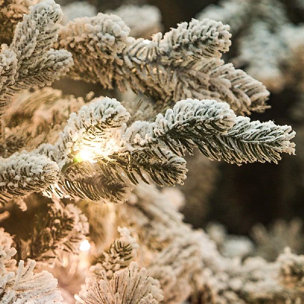 6ft Pre-Lit Balmoral Flocked Spruce Artificial Christmas Tree 4 6ft Pre-Lit Balmoral Flocked Spruce Artificial Christmas Tree - Image 4