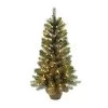 3ft Pre-Lit Kensington Fir Artificial Christmas Tree