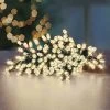 Premier Warm White Battery Operated Timer Lights (200 LEDs)
