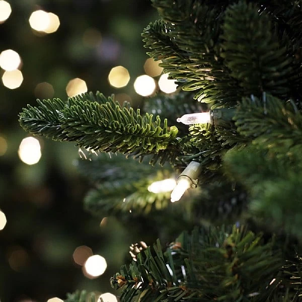 National Tree Company 5.5ft Pre-Lit Bayberry Slim Spruce 'Feel Real' Artificial Christmas Tree 2 National Tree Company 5.5ft Pre-Lit Bayberry Slim Spruce 'Feel Real' Artificial Christmas Tree - Image 2