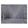 Snowy Woodland Street LED Canvas 70x50cm