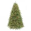 6ft Pre-Lit Ontario Fir Artificial Christmas Tree